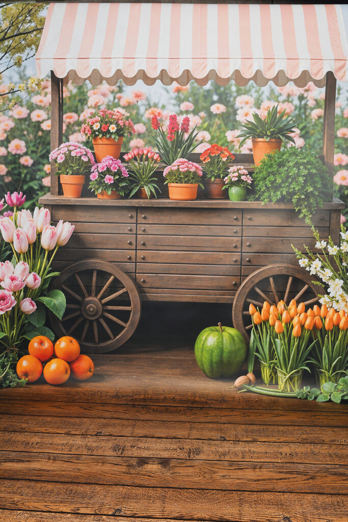 Fotohintergrund HG 703 – Kitafotografie Berlin